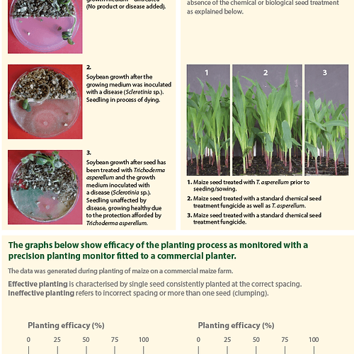 Eco-T Trichoderma Asperellum 40G