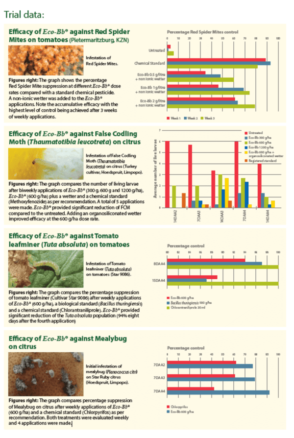 Eco-BB Beauveria Bassiana 40G